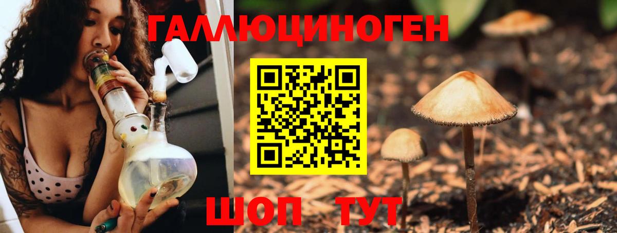 Псилоцибиновые грибы MAGIC MUSHROOMS  Вход с VPN  Чебаркуль 